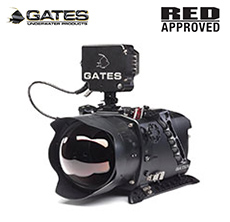 GATES Deep Weapon